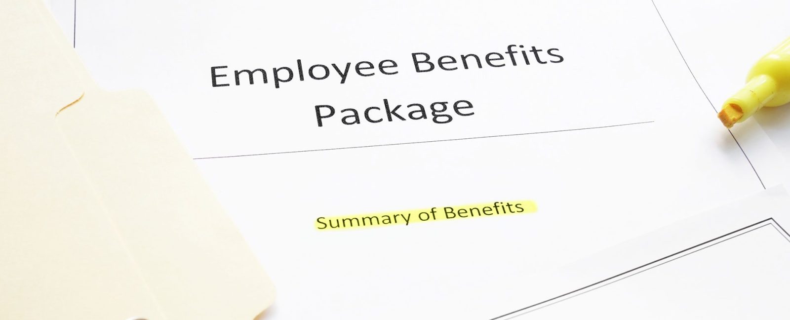 Preparing for an Employee Benefit Plan Audit Maner Costerisan