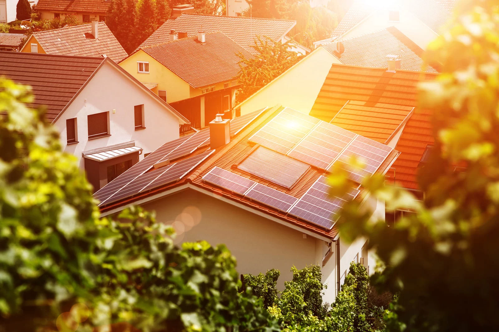 A cluster of houses, one with solar panels on its roof, is bathed in warm sunlight, surrounded by greenery. The scene suggests a suburban neighborhood focused on renewable energy.