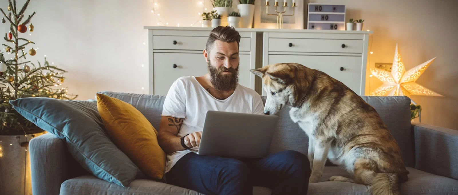 A man with a beard sits on a gray sofa using a laptop, while a dog sits beside him looking at the screen. The room is cozy, decorated with lights, a Christmas tree, and a star lamp. A coffee table is in front of them.