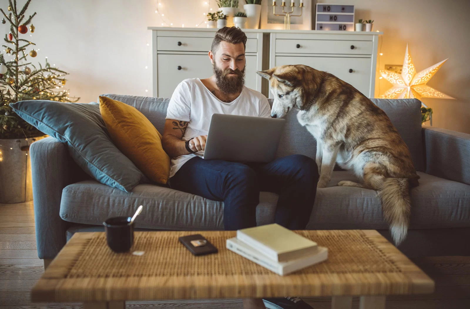A man with a beard sits on a gray sofa using a laptop, while a dog sits beside him looking at the screen. The room is cozy, decorated with lights, a Christmas tree, and a star lamp. A coffee table is in front of them.